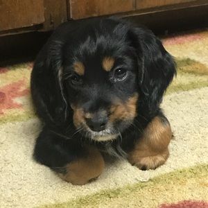 Meet your Posher, Gena